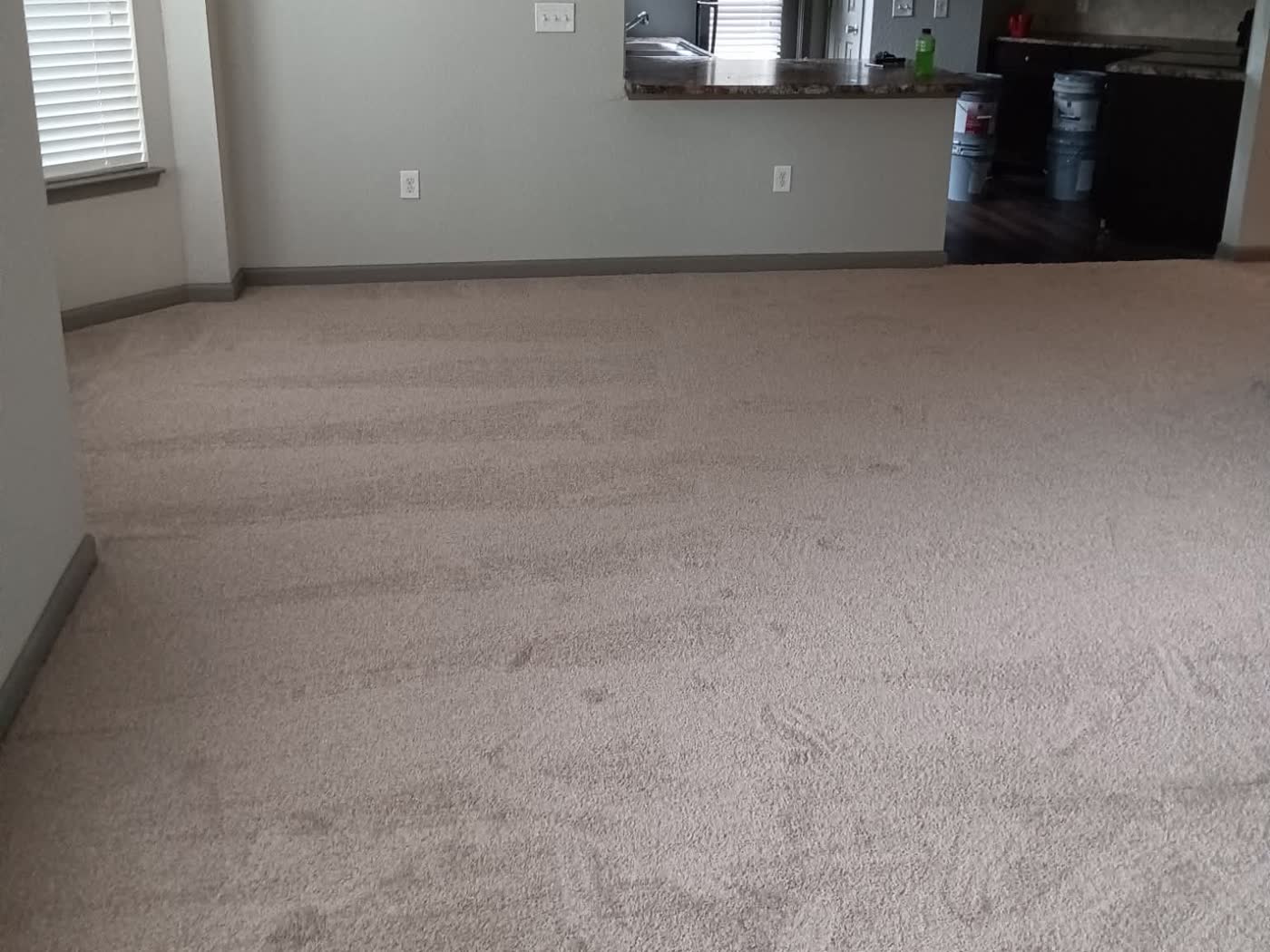 Wall-to-wall carpet installed in a Montgomery living room