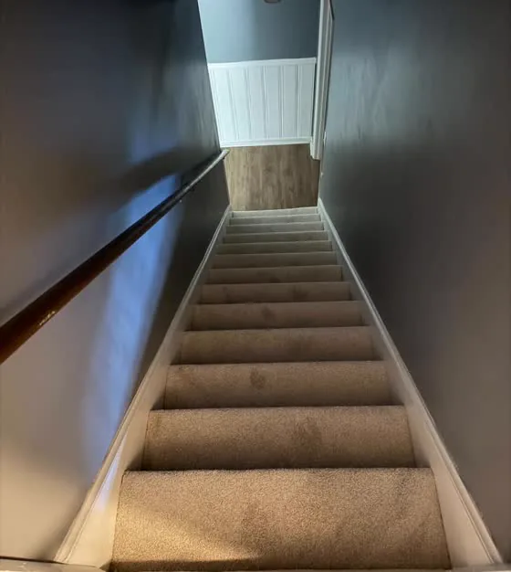 Carpeted staircase